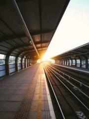 Becoming a solitary 